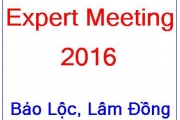 Lỏng gối sau ngoài